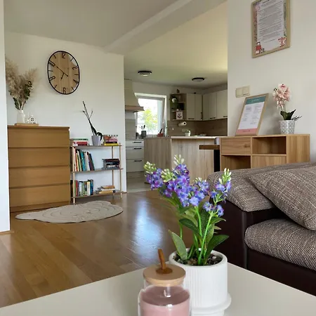 Apartment9b With Amazing View * Krško