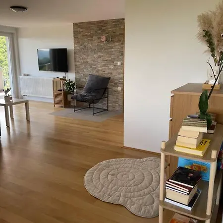 Apartment9b With Amazing View Krško