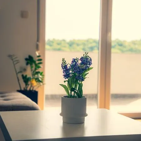 Apartment9b With Amazing View * Krško
