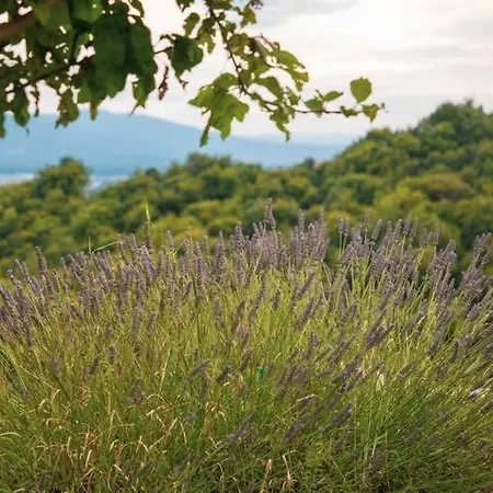 Apartment9b With Amazing View * Krško