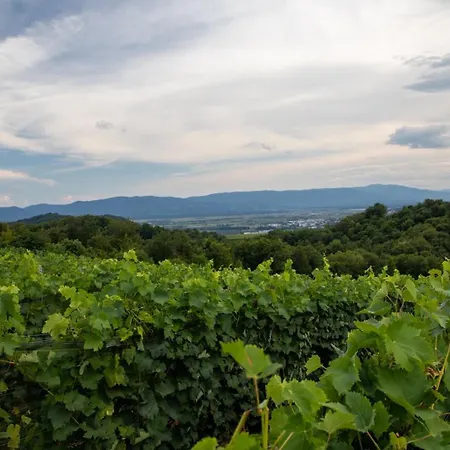 Daire Apartment9b With Amazing View Krško