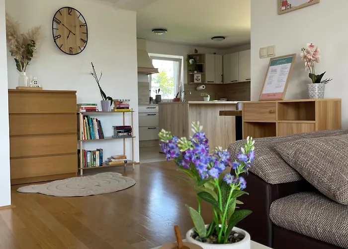 Apartment9b With Amazing View * Krško