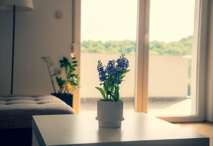 Apartment9b With Amazing View * Krško