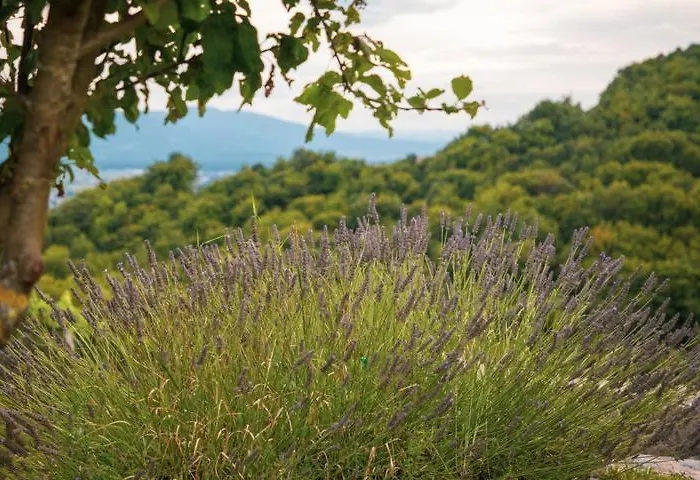 Apartment9b With Amazing View * Krško