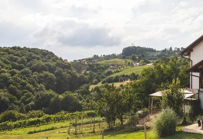 Apartment9b With Amazing View Lejlighed